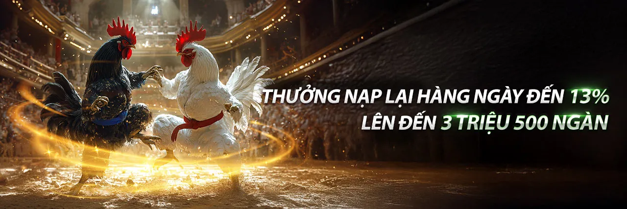 Đá Gà Trực Tuyến Hấp Dẫn tại mksport trang chủ chính thức